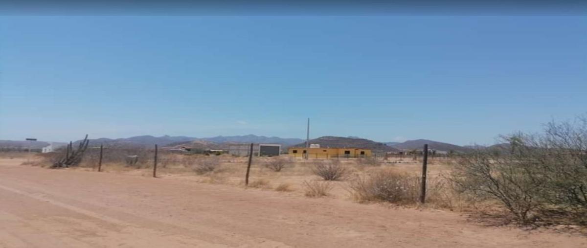 Foto de terreno habitacional en venta en manlio flavio borquez , san carlos nuevo guaymas, guaymas, sonora, 0 No. 02