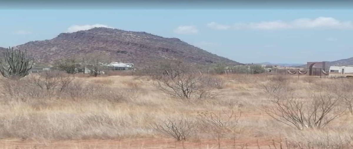Foto de terreno habitacional en venta en manlio flavio borquez , san carlos nuevo guaymas, guaymas, sonora, 0 No. 04