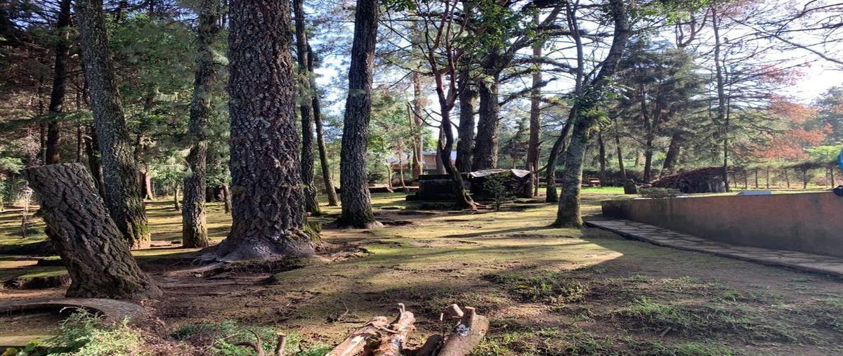 Foto de casa en manuel acuña , guayacahuala, huitzilac, morelos, 27308697 foto 02 Foto de casa en venta en manuel acuña , guayacahuala, huitzilac, morelos, 27308697 No. 02