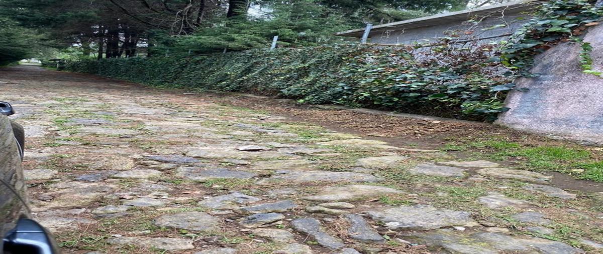 Foto de casa en manuel acuña , guayacahuala, huitzilac, morelos, 27308697 foto 04 Foto de casa en venta en manuel acuña , guayacahuala, huitzilac, morelos, 27308697 No. 04