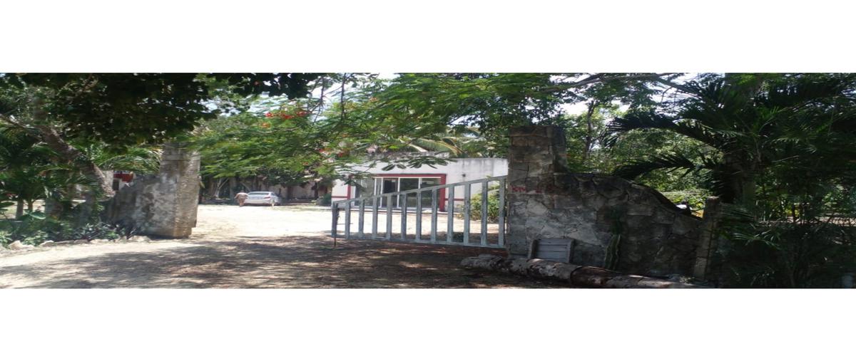 Foto de terreno habitacional en , manuel antonio ay, tulum, quintana roo, 0 foto 03 Foto de terreno habitacional en venta en , manuel antonio ay, tulum, quintana roo, 0 No. 03