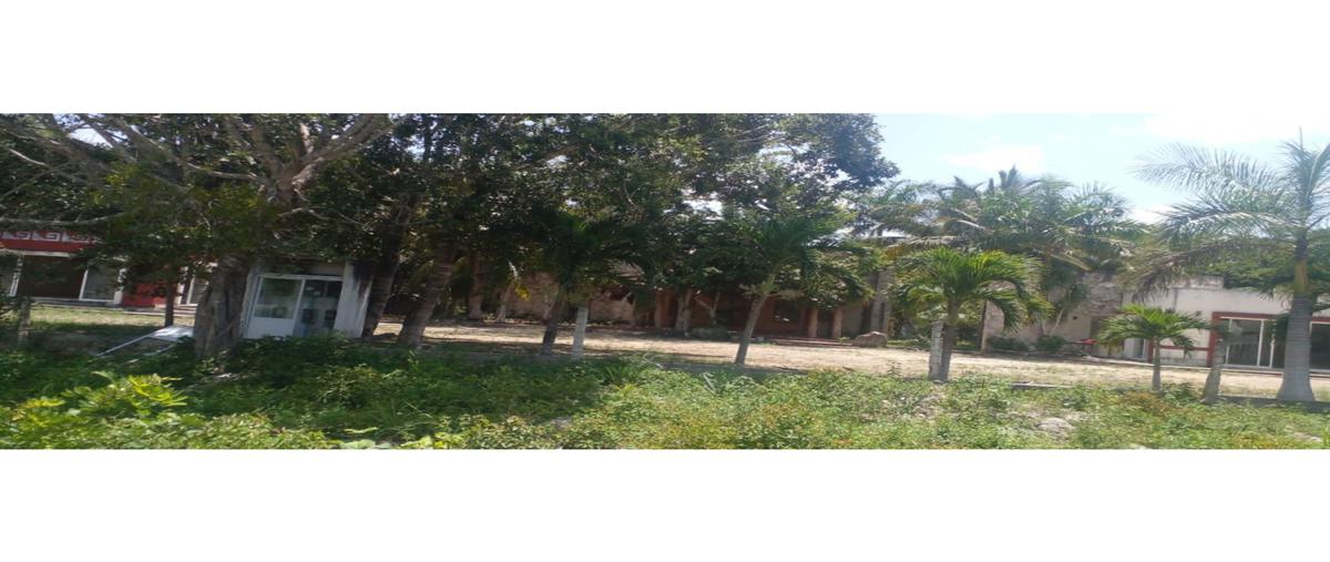 Foto de terreno habitacional en , manuel antonio ay, tulum, quintana roo, 0 foto 04 Foto de terreno habitacional en venta en , manuel antonio ay, tulum, quintana roo, 0 No. 04