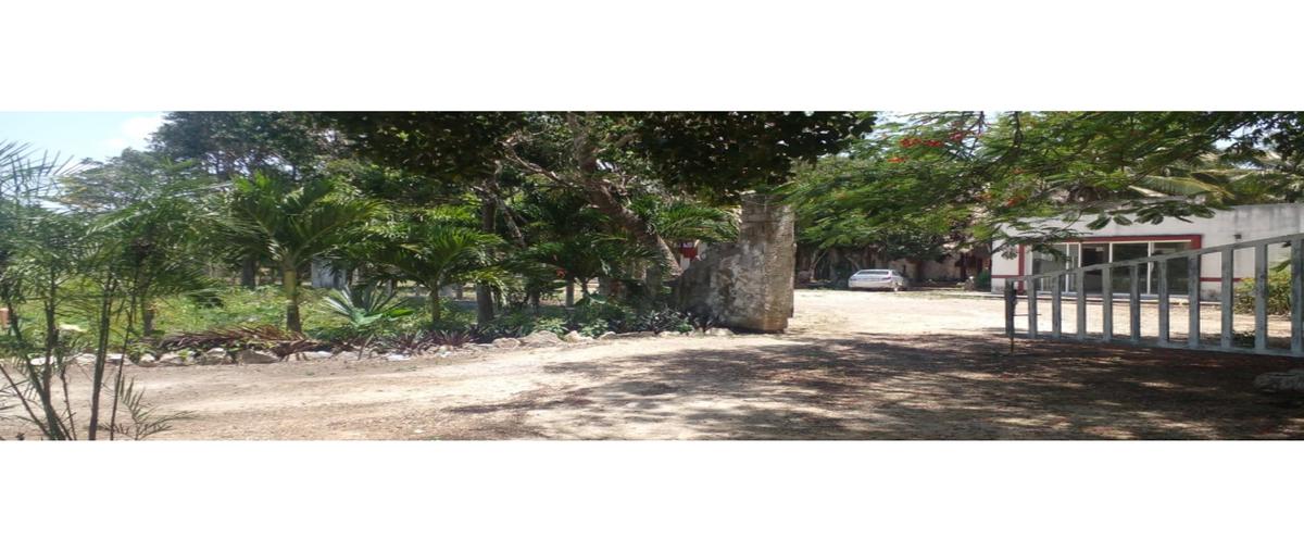 Foto de terreno habitacional en , manuel antonio ay, tulum, quintana roo, 0 foto 05 Foto de terreno habitacional en venta en , manuel antonio ay, tulum, quintana roo, 0 No. 05