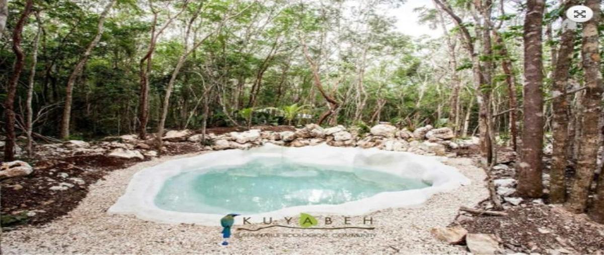 Foto de terreno habitacional en venta en  , manuel antonio ay, tulum, quintana roo, 0 No. 04