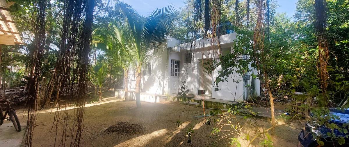 Foto de terreno habitacional en , manuel antonio ay, tulum, quintana roo, 0 foto 03 Foto de terreno habitacional en venta en , manuel antonio ay, tulum, quintana roo, 0 No. 03