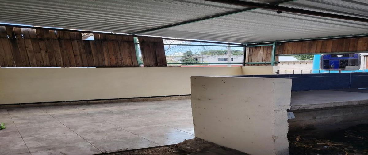 Foto de casa en venta en  , manuel avila camacho, mérida, yucatán, 0 No. 04