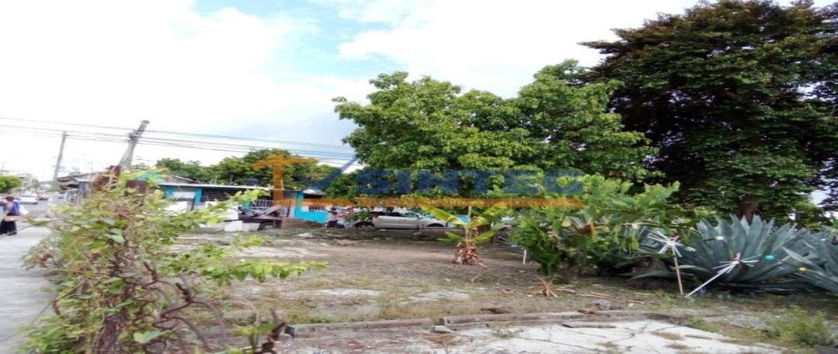 Foto de terreno habitacional en renta en  , manuel ávila camacho, poza rica de hidalgo, veracruz de ignacio de la llave, 0 No. 05