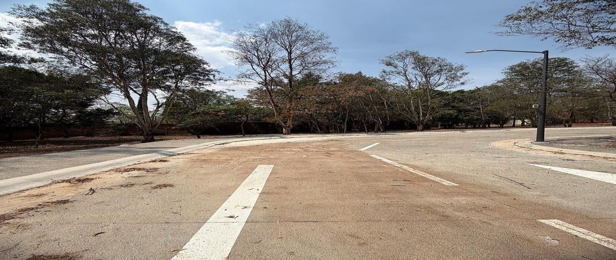 Foto de terreno habitacional en venta en manuel gutiérrez nájera , santa maria de guido, morelia, michoacán de ocampo, 29414442 No. 05