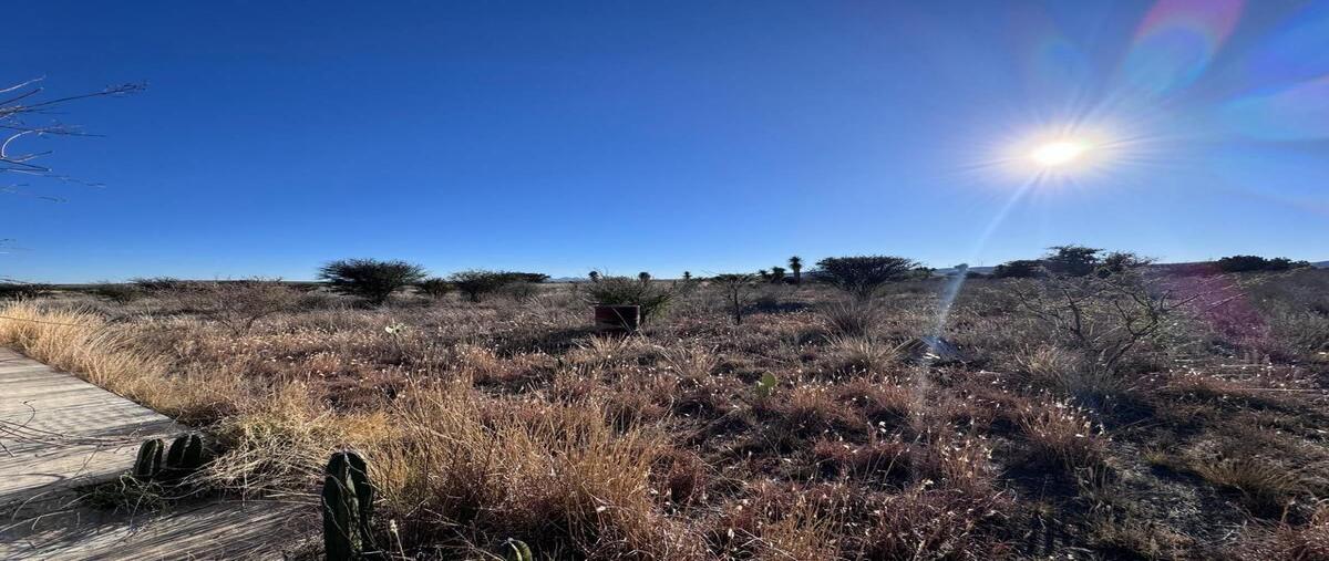Foto de rancho en venta en manuel medina de a , ojo de agua de la palma, guadalupe, zacatecas, 0 No. 03