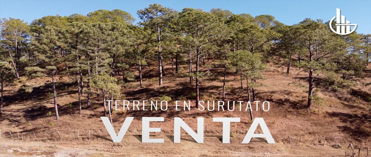 Foto de terreno comercial en venta en manzana 101 solar 2 , surutato, badiraguato, sinaloa, 0 No. 03