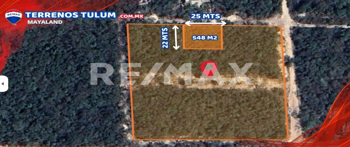 Foto de terreno comercial en manzana 111 lote 2 , tulum centro, tulum, quintana roo, 28542770 foto 05 Foto de terreno comercial en venta en manzana 111 lote 2 , tulum centro, tulum, quintana roo, 28542770 No. 05