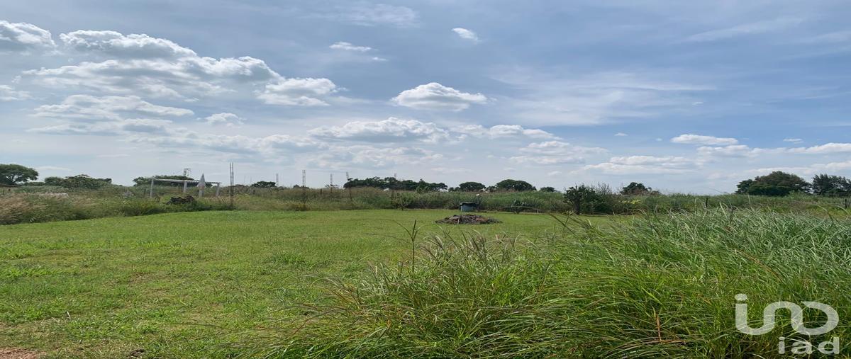 Foto de terreno habitacional en venta en manzana 12 , la loma (loma de enmedio), tepatitlán de morelos, jalisco, 0 No. 03