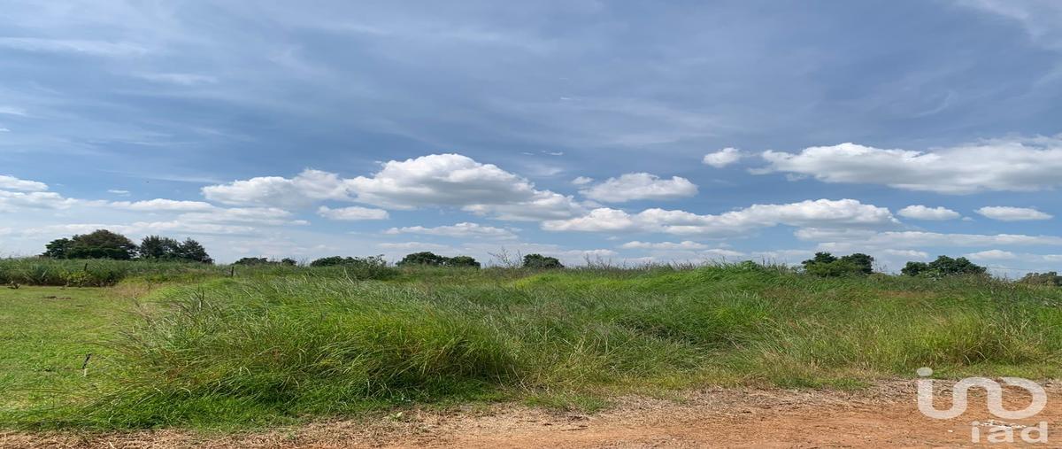 Foto de terreno habitacional en venta en manzana 12 , la loma (loma de enmedio), tepatitlán de morelos, jalisco, 0 No. 04