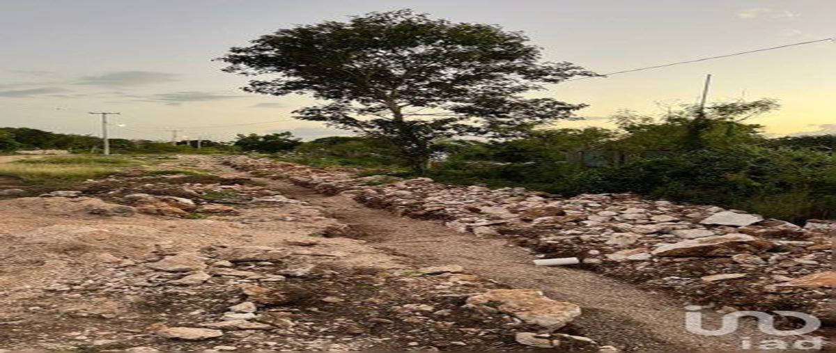 Foto de terreno habitacional en manzana 16 zona uno , centro hunucmá, hunucmá, yucatán, 0 foto 01 Foto de terreno habitacional en venta en manzana 16 zona uno , centro hunucmá, hunucmá, yucatán, 0 No. 01