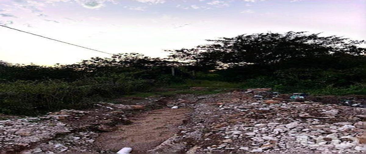 Foto de terreno habitacional en manzana 16 zona uno , centro hunucmá, hunucmá, yucatán, 0 foto 05 Foto de terreno habitacional en venta en manzana 16 zona uno , centro hunucmá, hunucmá, yucatán, 0 No. 05