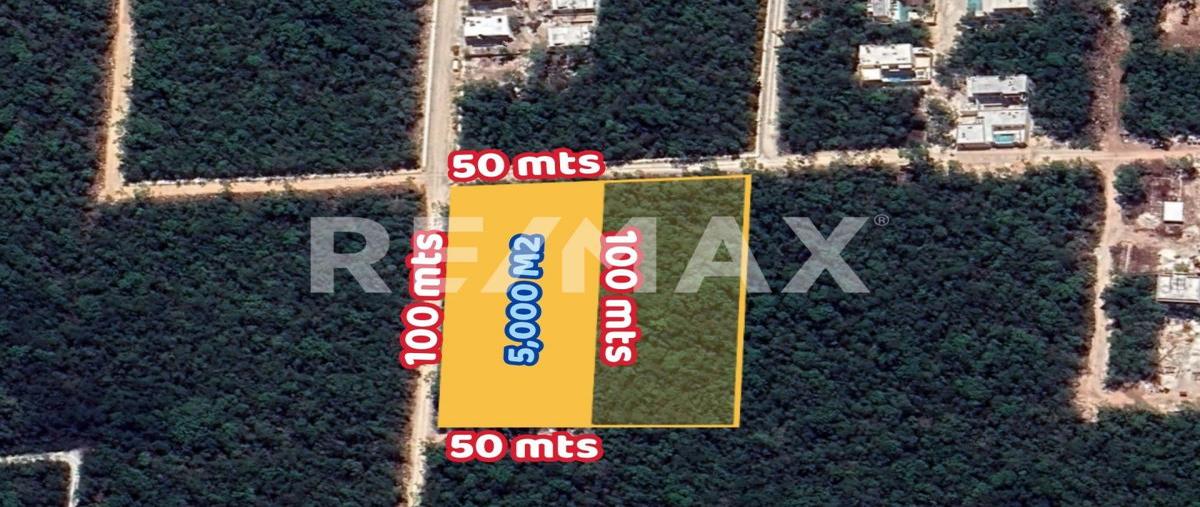 Foto de terreno habitacional en venta en manzana 165 , boca paila, tulum, quintana roo, 27279835 No. 03