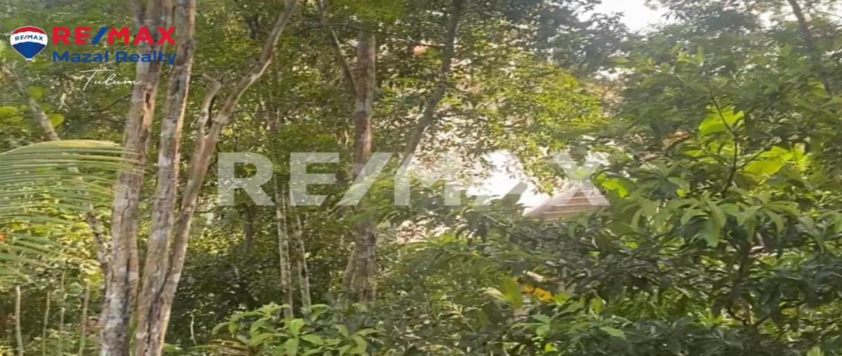 Foto de terreno habitacional en venta en manzana 169 , felipe carrillo puerto centro, felipe carrillo puerto, quintana roo, 0 No. 03