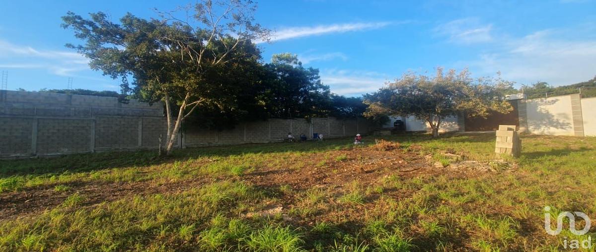 Foto de terreno habitacional en venta en manzana 2 , berriozabal centro, berriozábal, chiapas, 0 No. 04