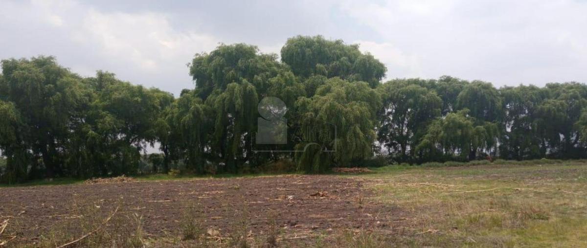 Foto de terreno habitacional en venta en manzana 2, llano grande, metepec, méxico, 27426261 No. 04