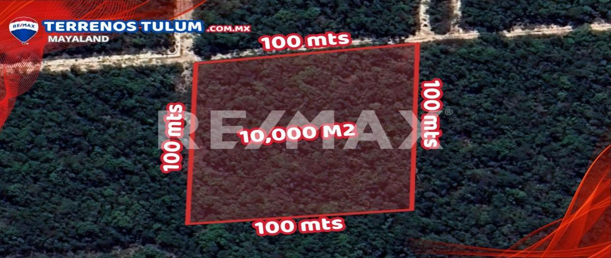 Foto de terreno comercial en manzana 278 , tulum centro, tulum, quintana roo, 28171941 foto 04 Foto de terreno comercial en venta en manzana 278 , tulum centro, tulum, quintana roo, 28171941 No. 04