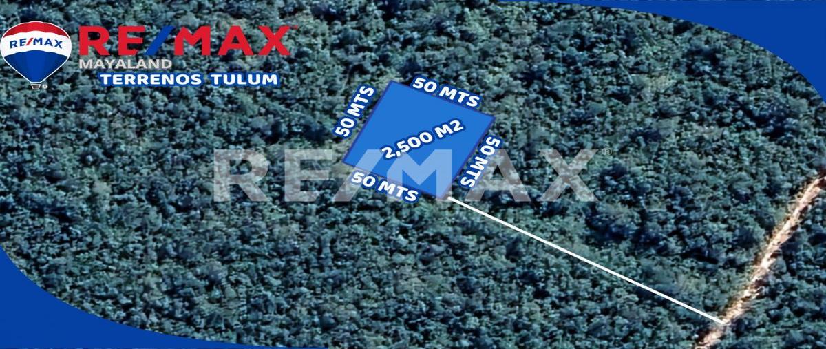 Foto de terreno habitacional en manzana 344 , francisco uh-may, tulum, quintana roo, 0 foto 01 Foto de terreno habitacional en venta en manzana 344 , francisco uh-may, tulum, quintana roo, 0 No. 01