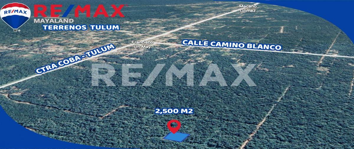 Foto de terreno habitacional en manzana 344 , francisco uh-may, tulum, quintana roo, 0 foto 02 Foto de terreno habitacional en venta en manzana 344 , francisco uh-may, tulum, quintana roo, 0 No. 02
