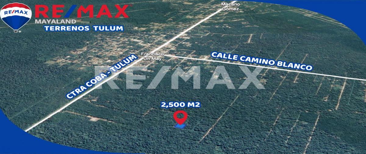 Foto de terreno habitacional en manzana 344 , francisco uh-may, tulum, quintana roo, 0 foto 03 Foto de terreno habitacional en venta en manzana 344 , francisco uh-may, tulum, quintana roo, 0 No. 03