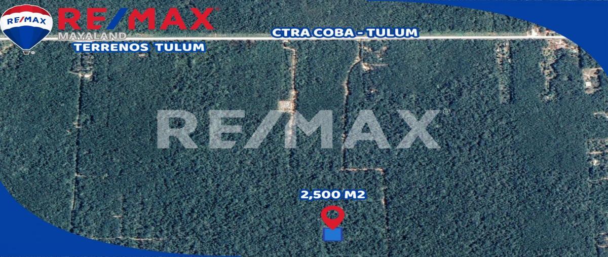 Foto de terreno habitacional en manzana 344 , francisco uh-may, tulum, quintana roo, 0 foto 04 Foto de terreno habitacional en venta en manzana 344 , francisco uh-may, tulum, quintana roo, 0 No. 04