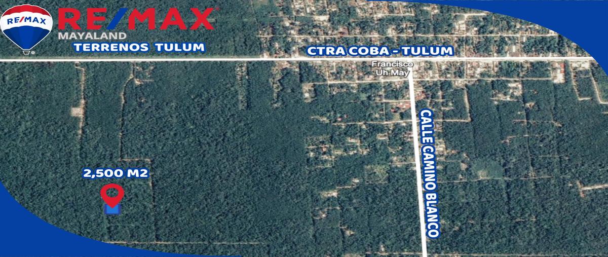 Foto de terreno habitacional en venta en manzana 344 , francisco uh-may, tulum, quintana roo, 28171899 No. 05