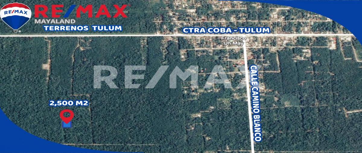 Foto de terreno habitacional en manzana 344 , francisco uh-may, tulum, quintana roo, 0 foto 05 Foto de terreno habitacional en venta en manzana 344 , francisco uh-may, tulum, quintana roo, 0 No. 05