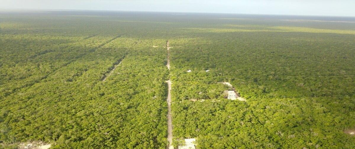 Foto de terreno habitacional en manzana 528 , region 15 kukulcan, tulum, quintana roo, 29137827 foto 01 Foto de terreno habitacional en venta en manzana 528 , region 15 kukulcan, tulum, quintana roo, 29137827 No. 01