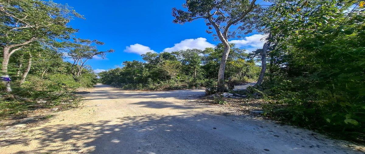 Foto de terreno habitacional en manzana 528 , region 15 kukulcan, tulum, quintana roo, 29137827 foto 04 Foto de terreno habitacional en venta en manzana 528 , region 15 kukulcan, tulum, quintana roo, 29137827 No. 04