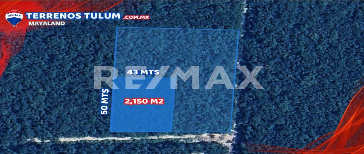 Foto de terreno comercial en manzana 620 lt 1 , tulum centro, tulum, quintana roo, 29746783 foto 05 Foto de terreno comercial en venta en manzana 620 lt 1 , tulum centro, tulum, quintana roo, 29746783 No. 05