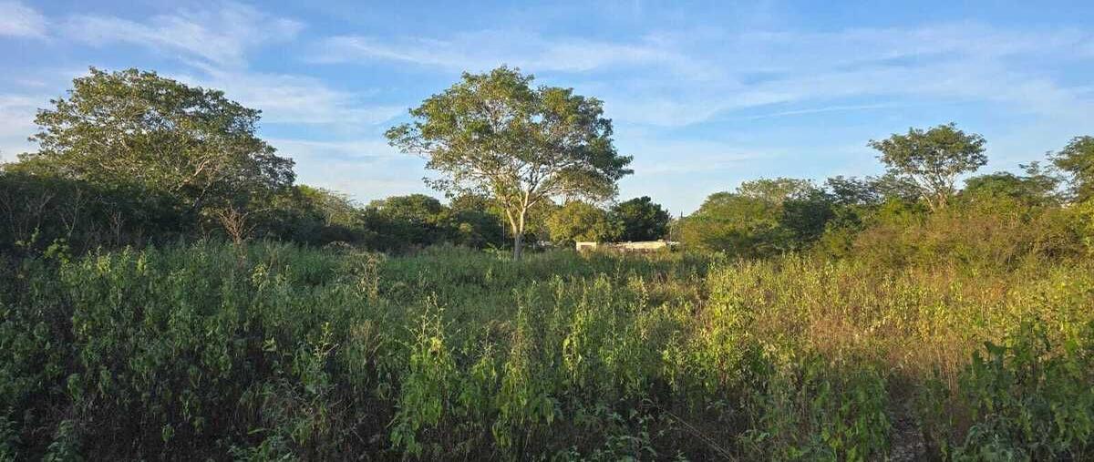 Foto de terreno habitacional en manzana 66 , temozon norte, mérida, yucatán, 0 foto 03 Foto de terreno habitacional en venta en manzana 66 , temozon norte, mérida, yucatán, 0 No. 03