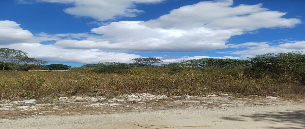 Foto de terreno habitacional en manzana 66 , temozon norte, mérida, yucatán, 0 foto 05 Foto de terreno habitacional en venta en manzana 66 , temozon norte, mérida, yucatán, 0 No. 05