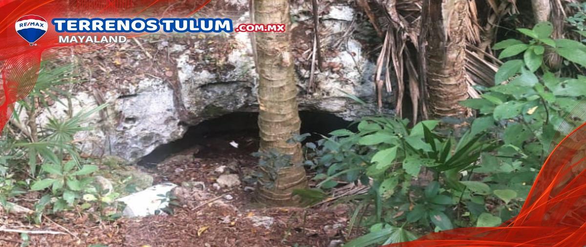 Foto de terreno habitacional en venta en manzana 83 lt 18 y 19 , tulum centro, tulum, quintana roo, 30924157 No. 05