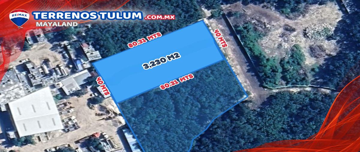 Foto de terreno comercial en manzana 875 lt3230m2 , tulum centro, tulum, quintana roo, 30783673 foto 04 Foto de terreno comercial en venta en manzana 875 lt3230m2 , tulum centro, tulum, quintana roo, 30783673 No. 04