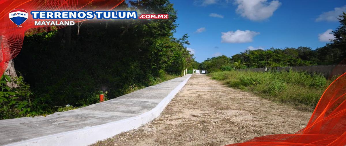Foto de terreno comercial en manzana 875 lt3230m2 , tulum centro, tulum, quintana roo, 30783673 foto 05 Foto de terreno comercial en venta en manzana 875 lt3230m2 , tulum centro, tulum, quintana roo, 30783673 No. 05