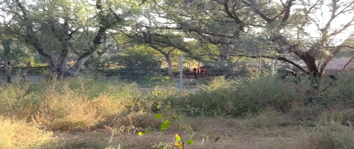 Foto de terreno comercial en venta en manzana 9 , san josé de buenavista, san luis potosí, san luis potosí, 17371834 No. 03