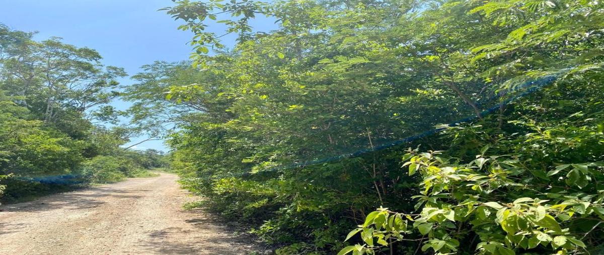 Foto de terreno habitacional en venta en manzana 933 1, tulum centro, tulum, quintana roo, 0 No. 03