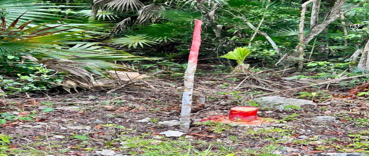 Foto de terreno habitacional en venta en manzana 933 1, tulum centro, tulum, quintana roo, 0 No. 05