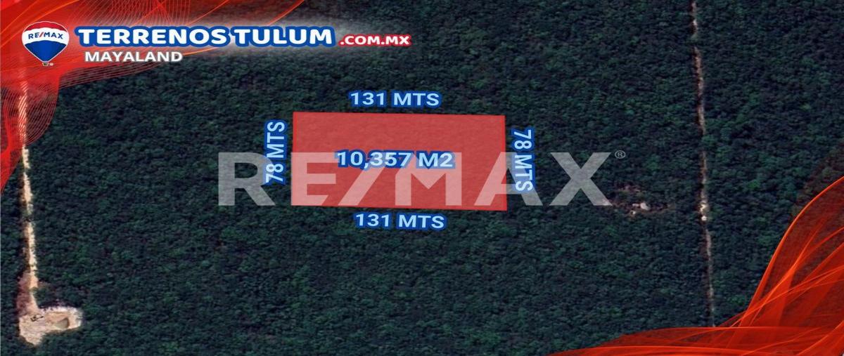 Foto de terreno comercial en manzana 960 , tulum centro, tulum, quintana roo, 28172357 foto 04 Foto de terreno comercial en venta en manzana 960 , tulum centro, tulum, quintana roo, 28172357 No. 04