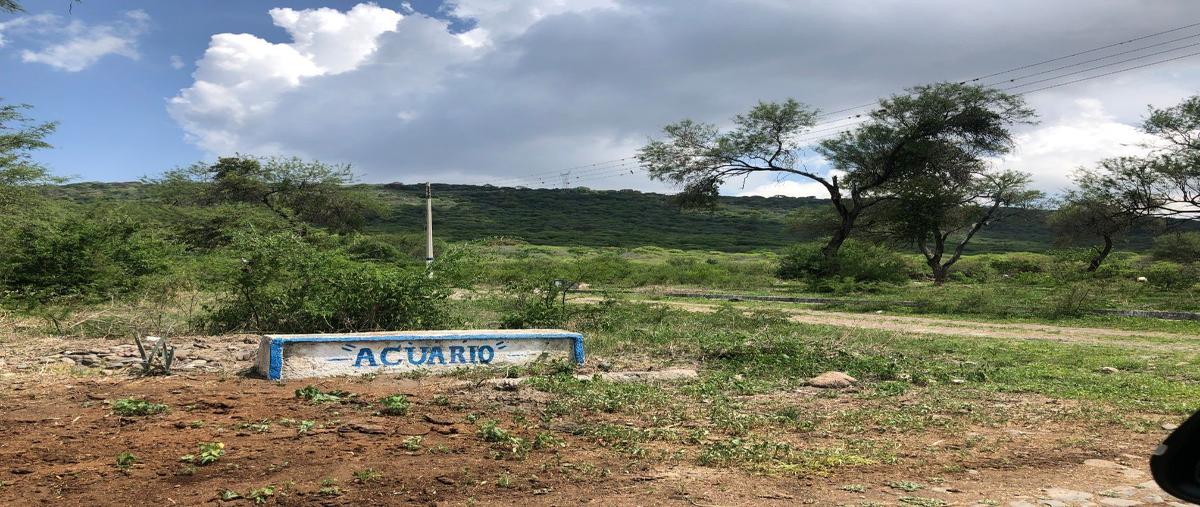 Foto de terreno habitacional en manzana b1 , ixtlahuacan de los membrillos, ixtlahuacán de los membrillos, jalisco, 7552273 foto 04 Foto de terreno habitacional en venta en manzana b1 , ixtlahuacan de los membrillos, ixtlahuacán de los membrillos, jalisco, 7552273 No. 04