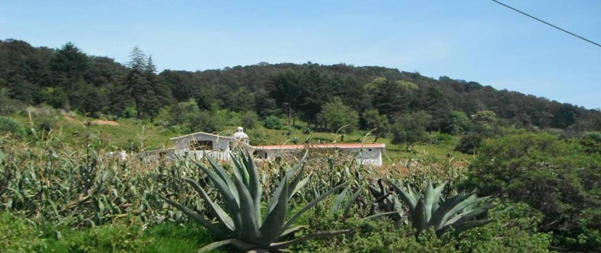 Foto de rancho en , manzana quinta (la cañada), jiquipilco, méxico, 0 foto 05 Foto de rancho en venta en , manzana quinta (la cañada), jiquipilco, méxico, 0 No. 05