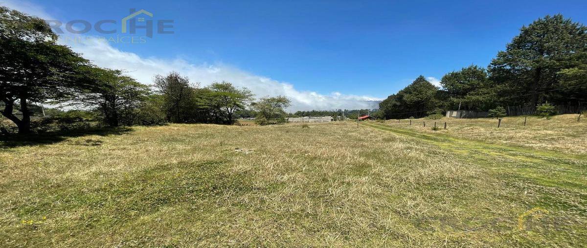 Foto de terreno habitacional en venta en  , manzanillo, las vigas de ramírez, veracruz de ignacio de la llave, 0 No. 03