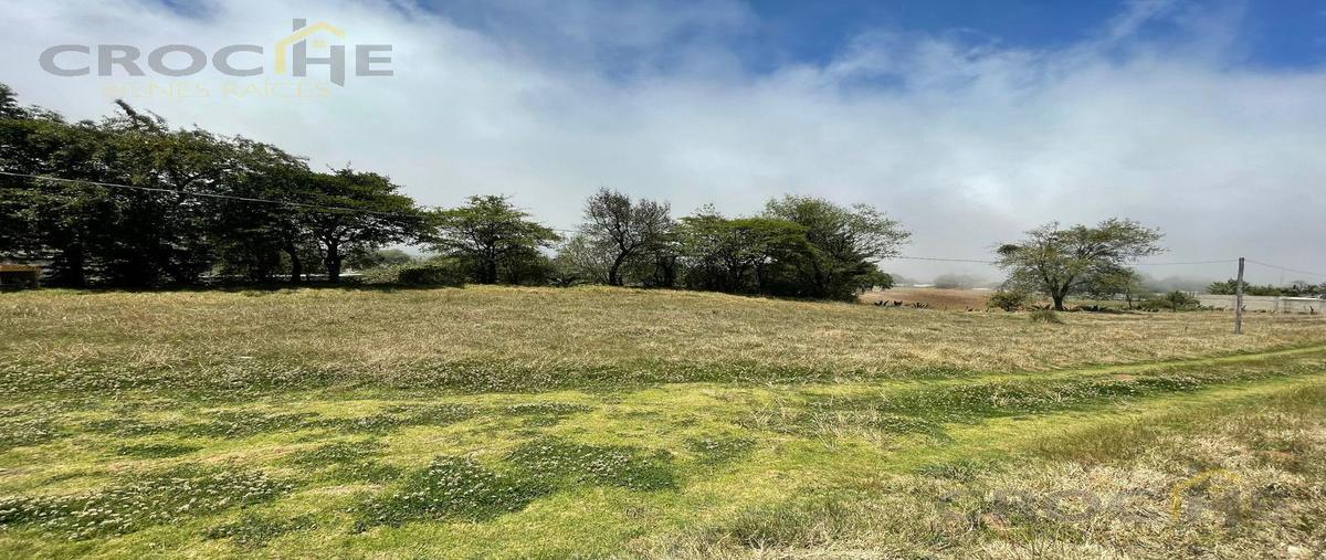 Foto de terreno habitacional en venta en  , manzanillo, las vigas de ramírez, veracruz de ignacio de la llave, 0 No. 04