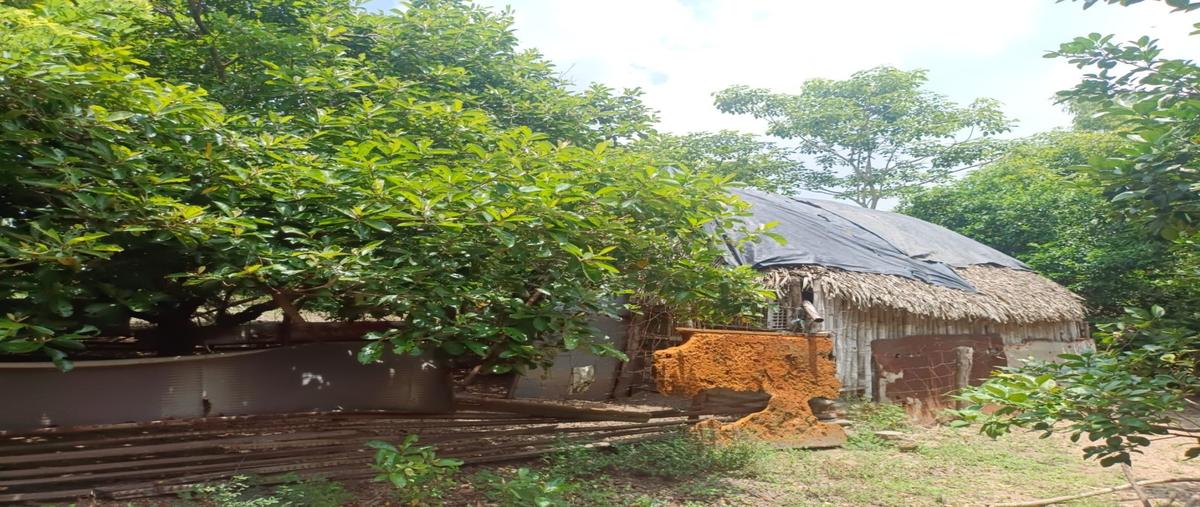 Foto de terreno habitacional en , mapachapa, minatitlán, veracruz de ignacio de la llave, 27008634 foto 02 Foto de terreno habitacional en renta en , mapachapa, minatitlán, veracruz de ignacio de la llave, 27008634 No. 02