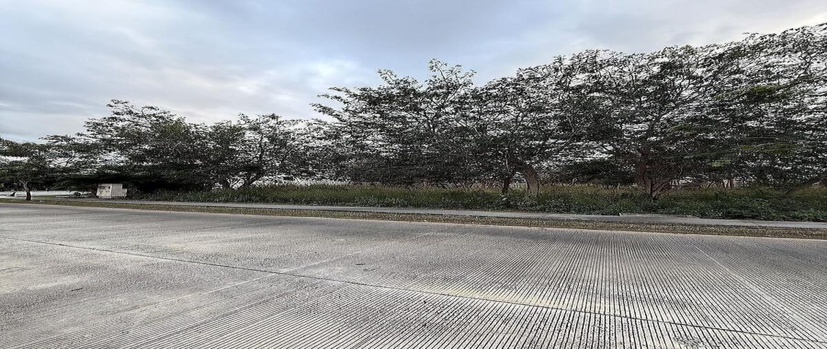 Foto de terreno habitacional en venta en maple , parque central, mérida, yucatán, 0 No. 08