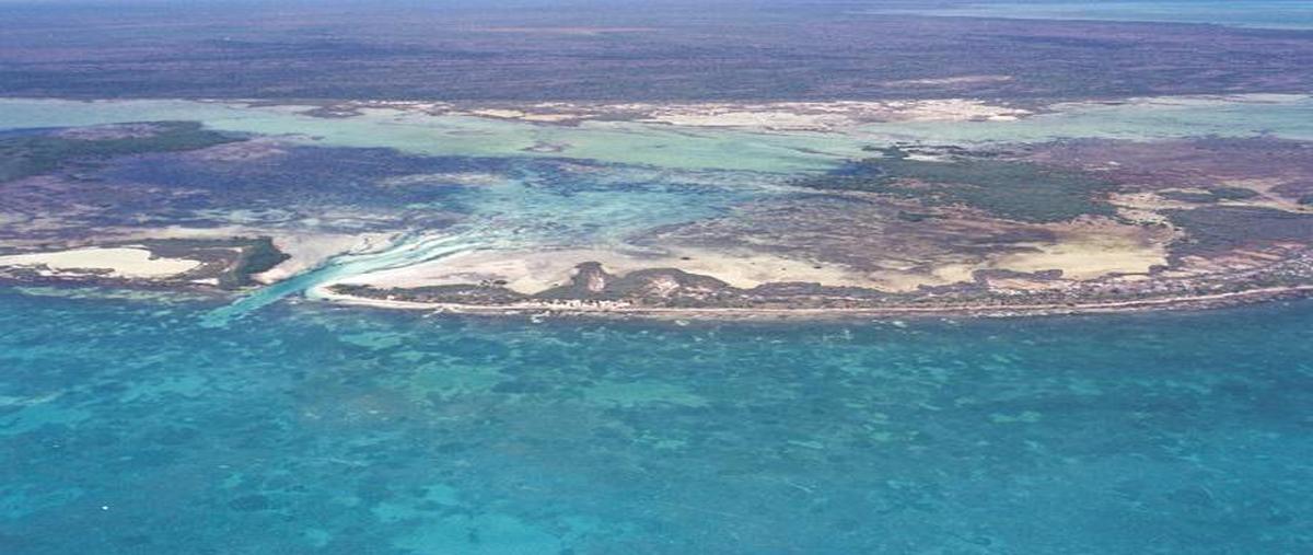 Foto de terreno habitacional en venta en  , mar caribe, isla mujeres, quintana roo, 7270367 No. 05