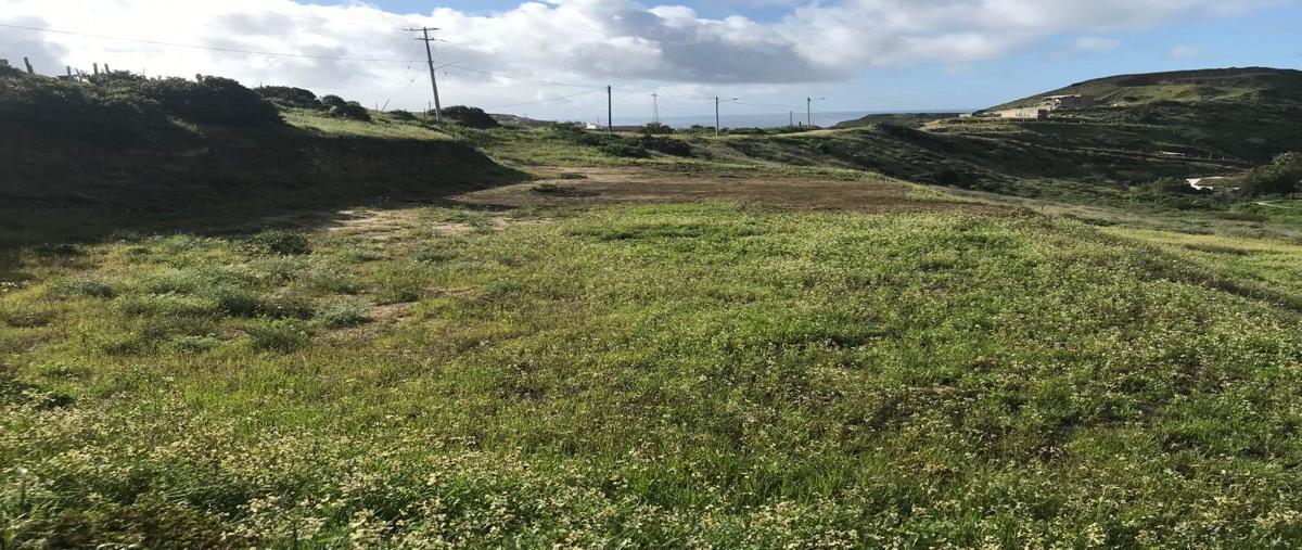 Foto de terreno habitacional en venta en mar caribe , mar de popotla, playas de rosarito, baja california, 27801914 No. 03